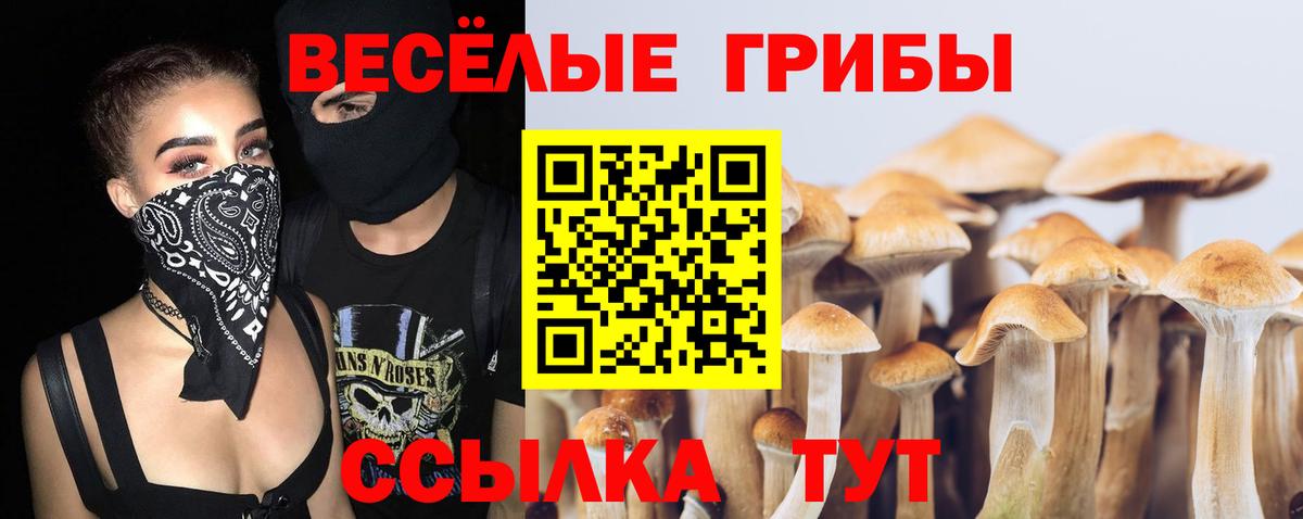 Галлюциногенные грибы Psilocybe Тельмана
